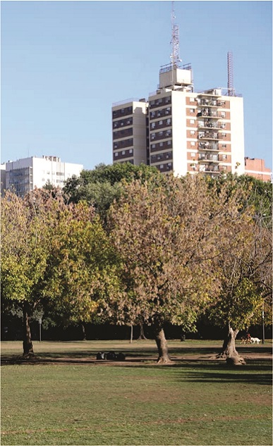 Saavedra